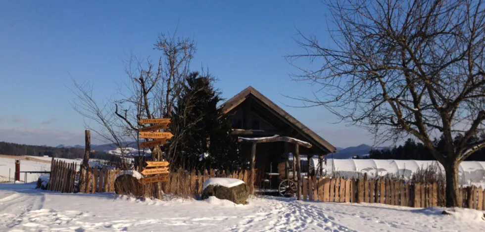 Schule am Bio-Bauernhof in Bad Zell, Oberösterreich