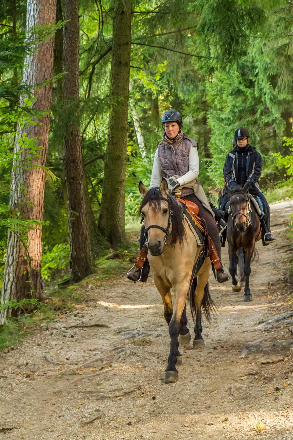 Reitbauernhof Heimelsteiner in Pabneukirchen, Oberösterreich
