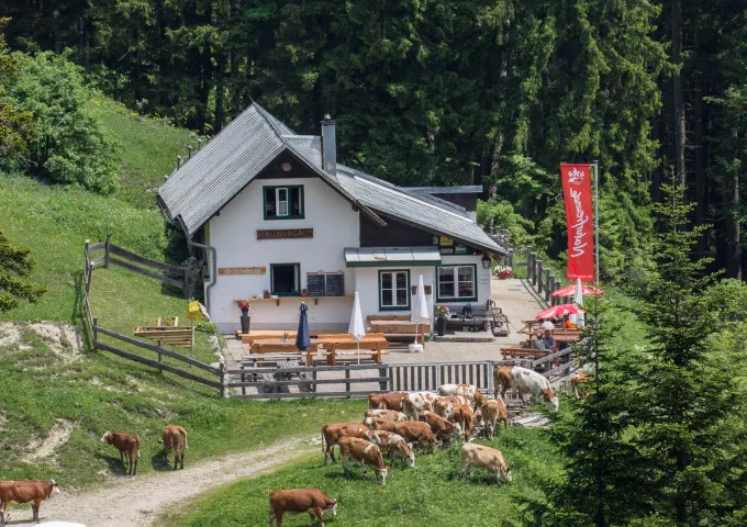 Stallburgalm in Küpfern, Oberösterreich