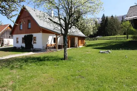 Steiner "Wirtshaus" in Vorderstoder